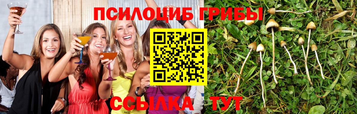 Коряжма  Псилоцибиновые грибы мицелий  Галлюциногенные грибы мухоморы  Вход с VPN 